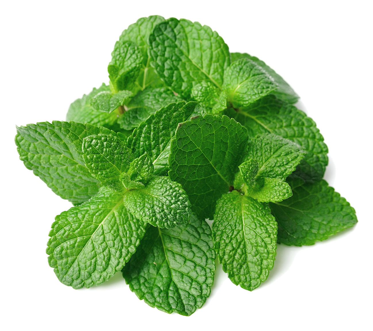 Delicioso Syrup Coreano Pomona 1 Lt Sabor Menta Verde