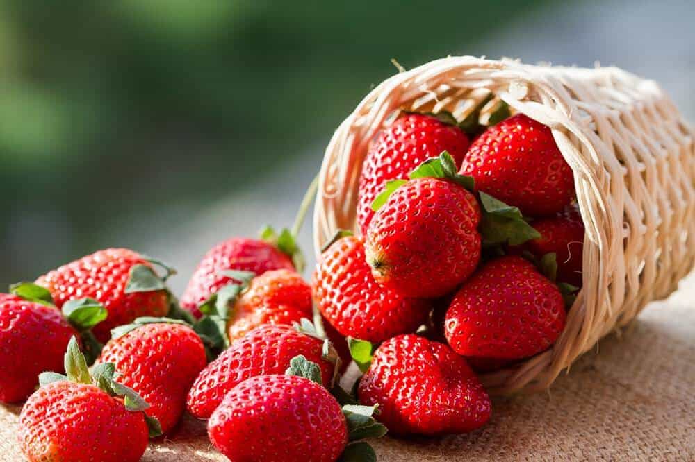 Delicioso Syrup Coreano Pomona 1 Lt Sabor Frutilla
