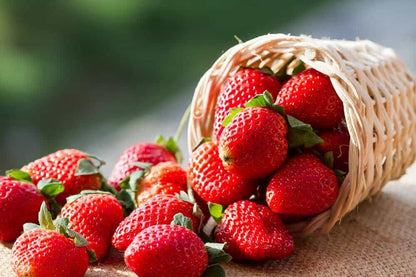 Delicioso Syrup Coreano Pomona 1 Lt Sabor Frutilla